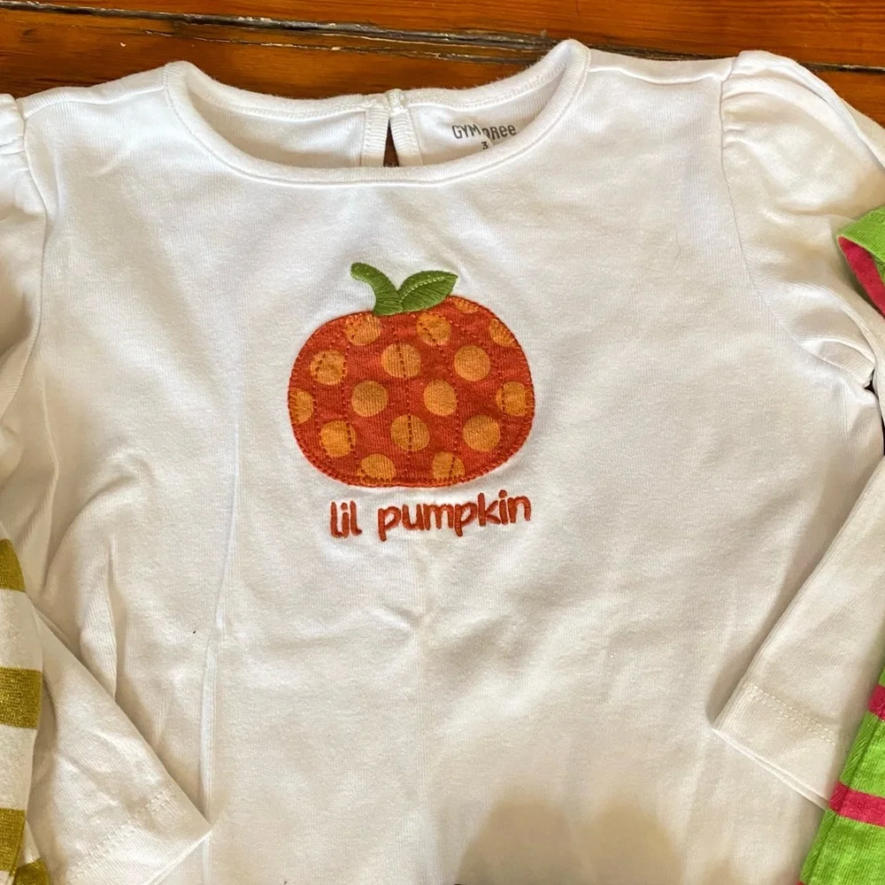 Fall Size 3 T Bundle 3 Shirts 1 pair of leggings